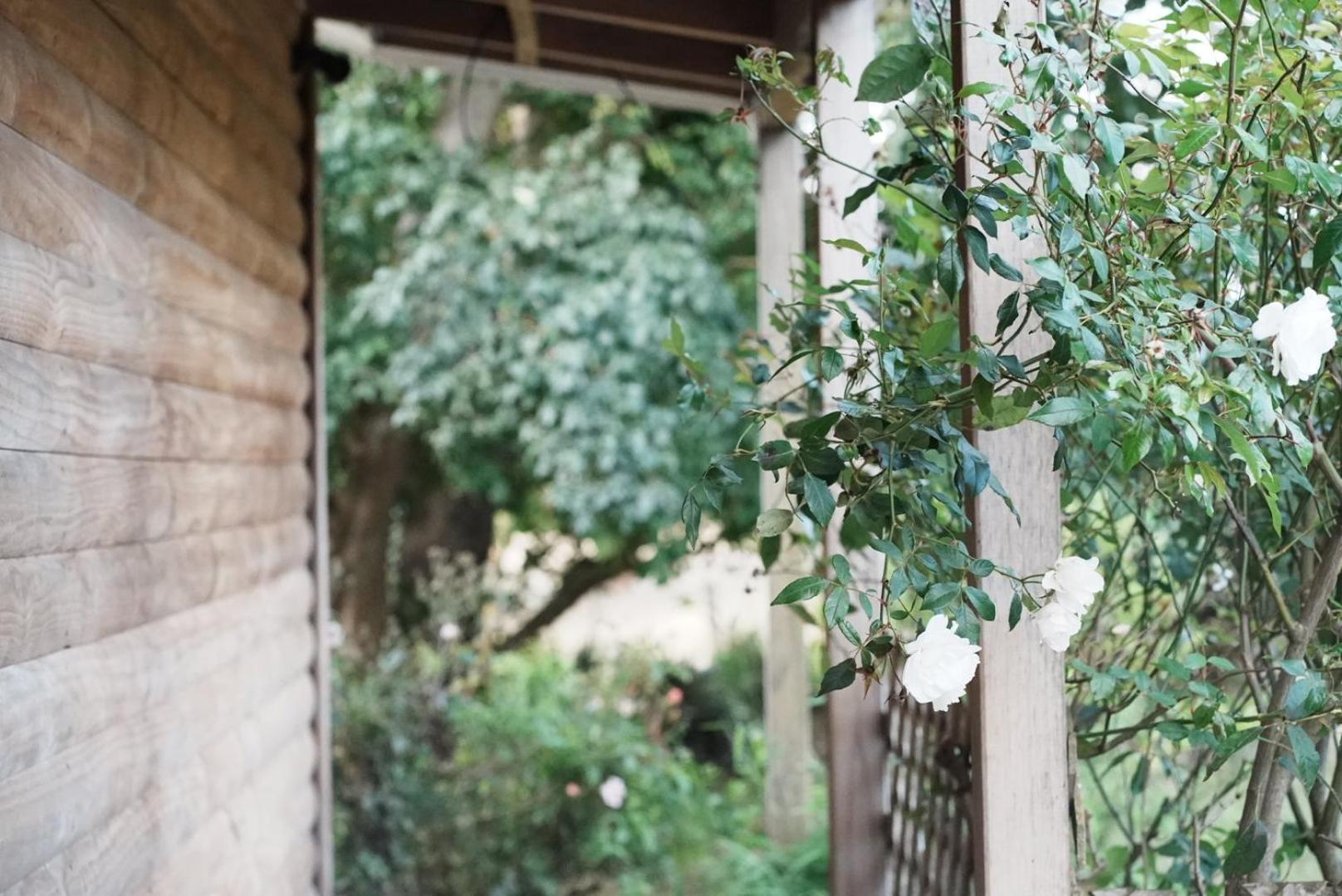 A Cabin With A Big View, Comfort And Tranquility, Close To Vines Martinborough Exterior foto